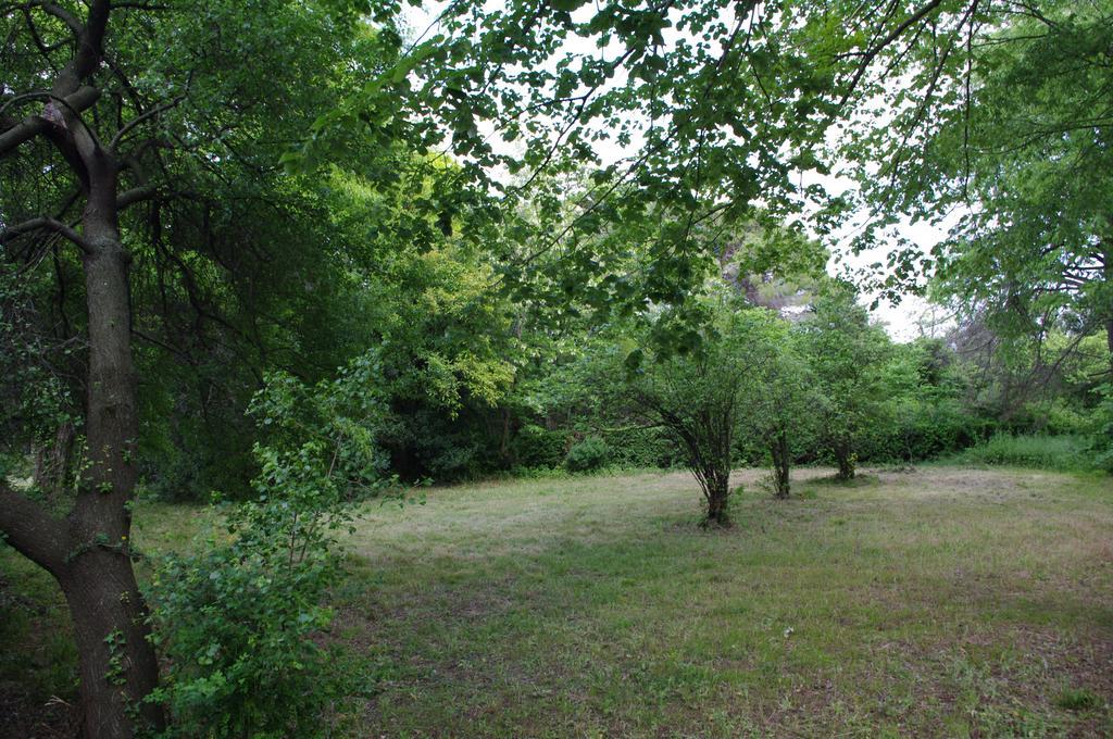 Chateau Le Vergel Authenac Ginestas Oda fotoğraf