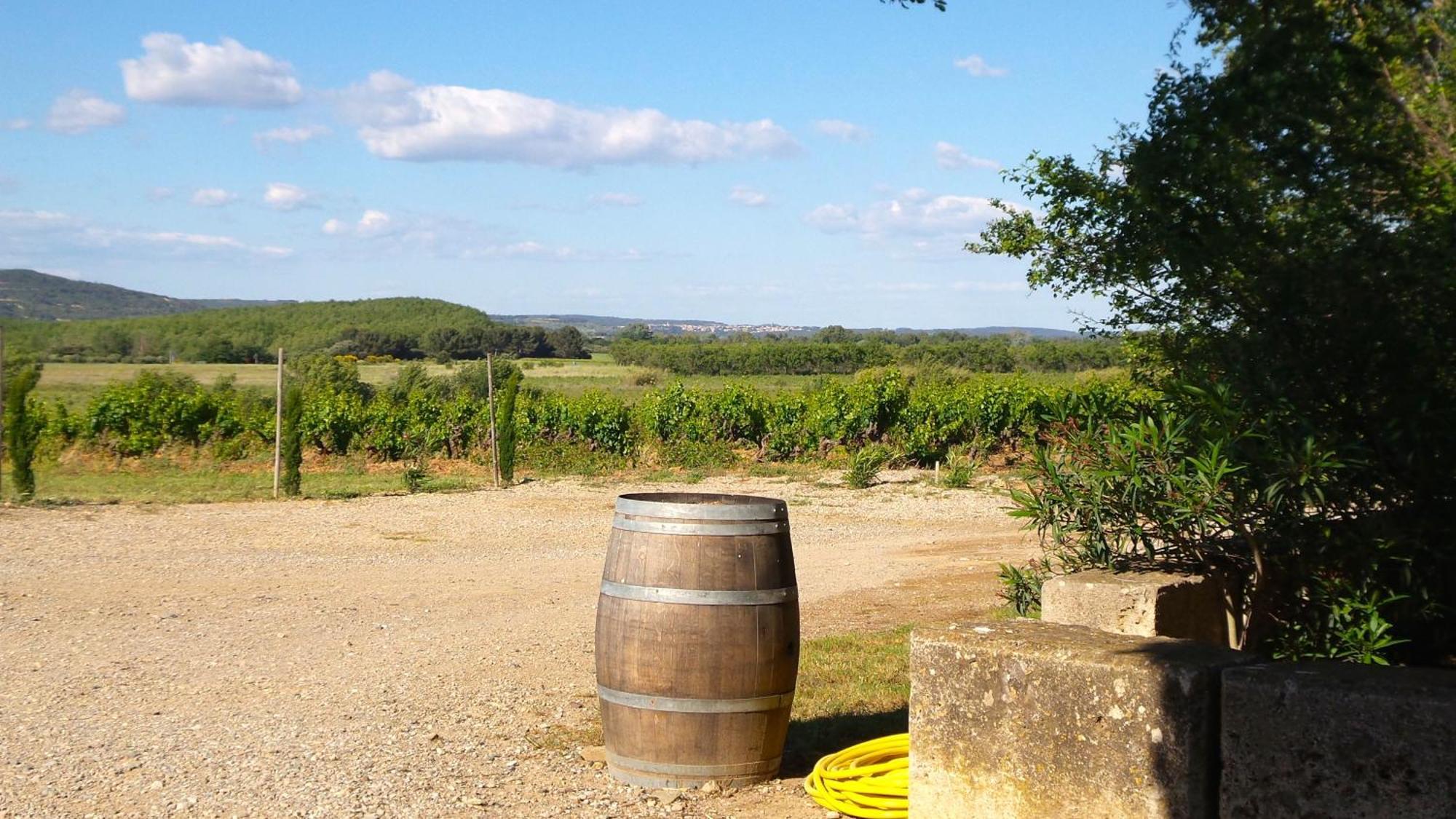 Chateau Le Vergel Authenac Ginestas Oda fotoğraf